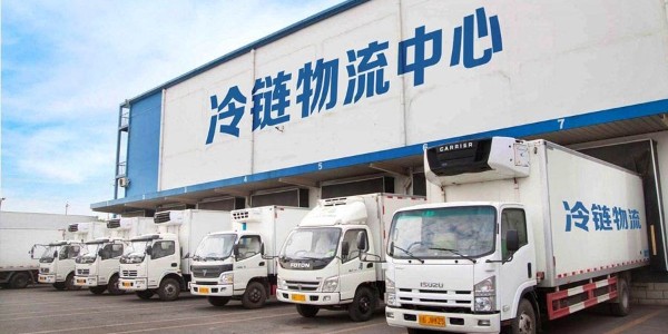 適合冷鏈運(yùn)輸?shù)乃芰现苻D(zhuǎn)箱